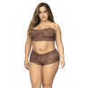 Shorty dentelle cacao grande taille Mapalé - Lingerie féminine